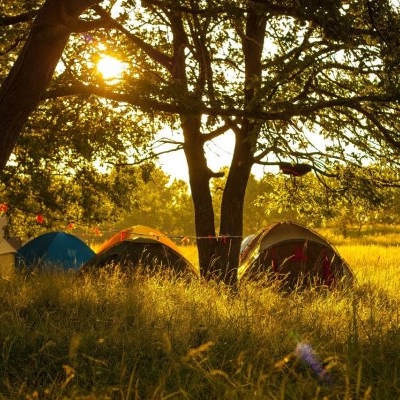 Палаточный лагерь в дубовой роще